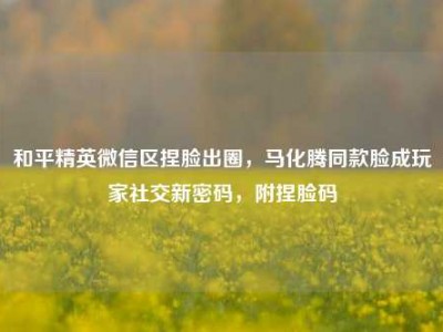 和平精英微信区捏脸出圈，马化腾同款脸成玩家社交新密码，附捏脸码