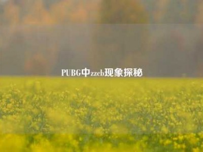 PUBG中zzcb现象探秘