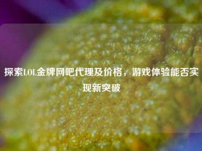 探索LOL金牌网吧代理及价格，游戏体验能否实现新突破