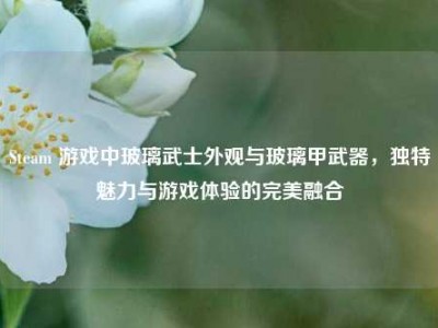 Steam 游戏中玻璃武士外观与玻璃甲武器，独特魅力与游戏体验的完美融合