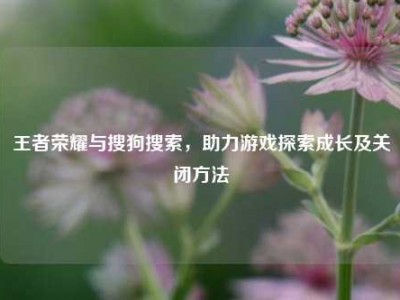 王者荣耀与搜狗搜索，助力游戏探索成长及关闭方法