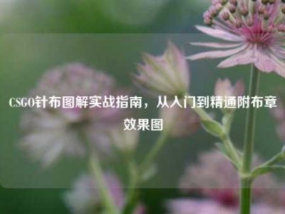 CSGO针布图解实战指南，从入门到精通附布章效果图