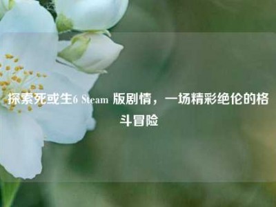 探索死或生6 Steam 版剧情，一场精彩绝伦的格斗冒险