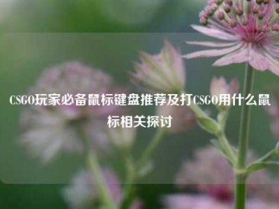 CSGO玩家必备鼠标键盘推荐及打CSGO用什么鼠标相关探讨