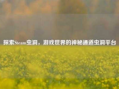 探索Steam虫洞，游戏世界的神秘通道虫洞平台