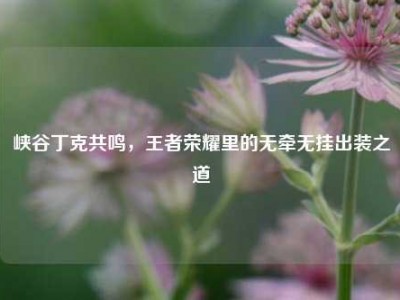 峡谷丁克共鸣，王者荣耀里的无牵无挂出装之道