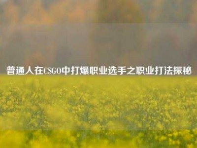 普通人在CSGO中打爆职业选手之职业打法探秘