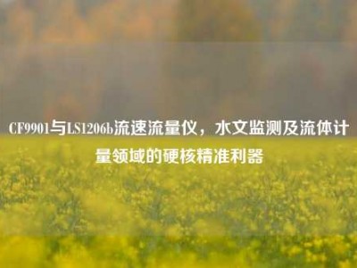 CF9901与LS1206b流速流量仪，水文监测及流体计量领域的硬核精准利器