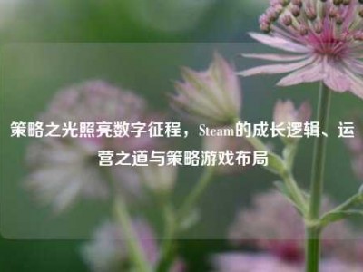 策略之光照亮数字征程，Steam的成长逻辑、运营之道与策略游戏布局