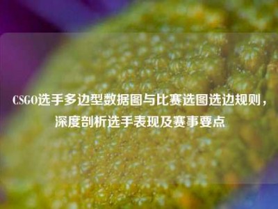CSGO选手多边型数据图与比赛选图选边规则，深度剖析选手表现及赛事要点