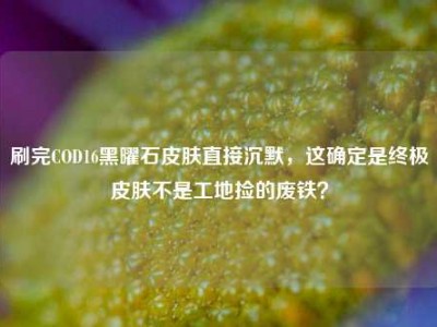 刷完COD16黑曜石皮肤直接沉默，这确定是终极皮肤不是工地捡的废铁？
