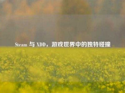 Steam 与 XDD，游戏世界中的独特碰撞