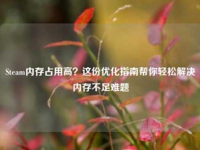 Steam内存占用高？这份优化指南帮你轻松解决内存不足难题