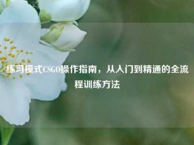 练习模式CSGO操作指南，从入门到精通的全流程训练方法
