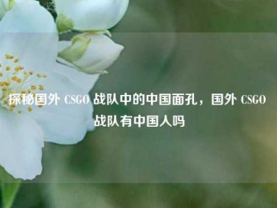 探秘国外 CSGO 战队中的中国面孔，国外 CSGO 战队有中国人吗