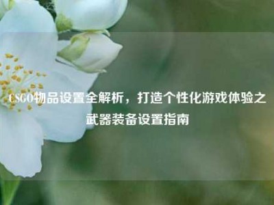 CSGO物品设置全解析，打造个性化游戏体验之武器装备设置指南