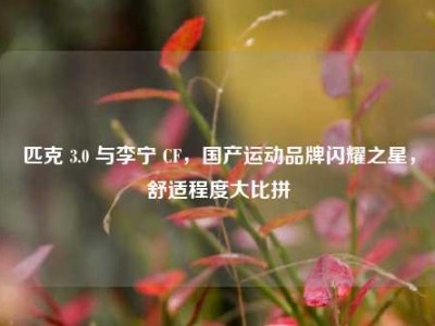 匹克 3.0 与李宁 CF，国产运动品牌闪耀之星，舒适程度大比拼