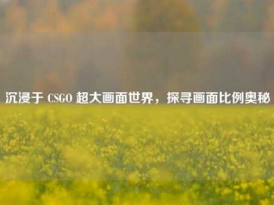沉浸于 CSGO 超大画面世界，探寻画面比例奥秘