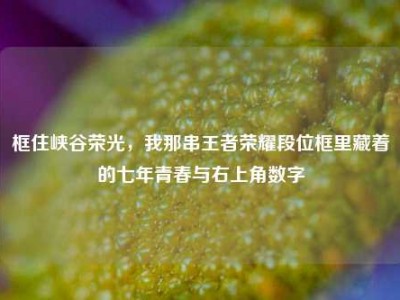 框住峡谷荣光，我那串王者荣耀段位框里藏着的七年青春与右上角数字
