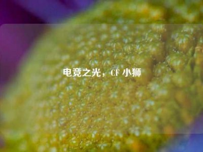 电竞之光，CF 小狮