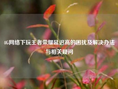 4G网络下玩王者荣耀延迟高的困扰及解决办法与相关疑问