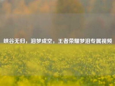 峡谷无归，泪梦成空，王者荣耀梦泪专属视频