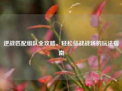 逆战匹配组队全攻略，轻松征战战场的玩法指南