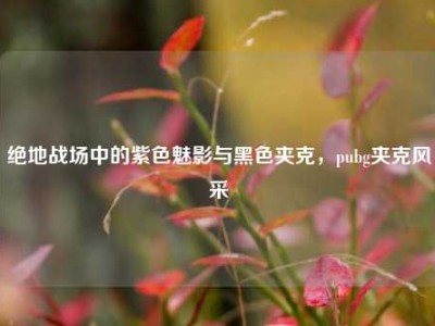 绝地战场中的紫色魅影与黑色夹克，pubg夹克风采