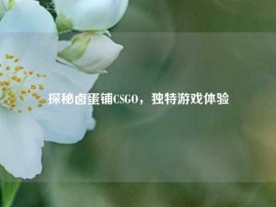 探秘卤蛋铺CSGO，独特游戏体验