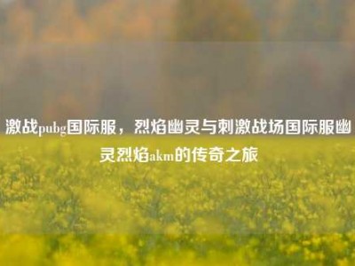 激战pubg国际服，烈焰幽灵与刺激战场国际服幽灵烈焰akm的传奇之旅