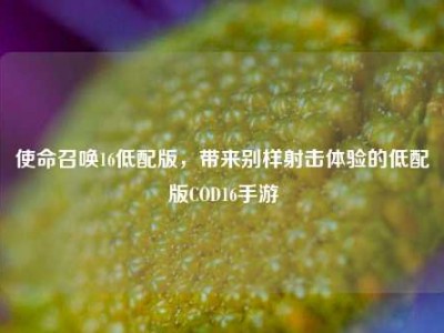 使命召唤16低配版，带来别样射击体验的低配版COD16手游