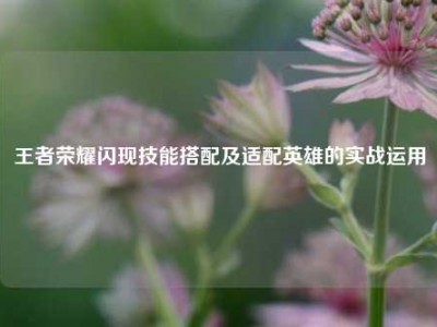 王者荣耀闪现技能搭配及适配英雄的实战运用