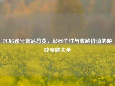 PUBG账号饰品总览，彰显个性与收藏价值的游戏宝藏大全