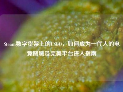 Steam数字货架上的CSGO，如何成为一代人的电竞图腾及完美平台进入指南