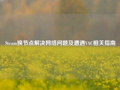 Steam换节点解决网络问题及遭遇VAC相关指南