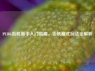PUBG街机新手入门指南，街机模式玩法全解析