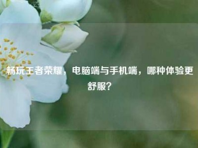 畅玩王者荣耀，电脑端与手机端，哪种体验更舒服？