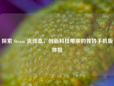 探索 Steam 流线盒，创新科技带来的独特手机版体验