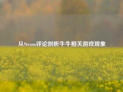 从Steam评论剖析牛牛相关游戏现象