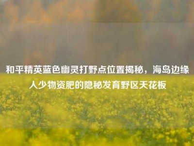 和平精英蓝色幽灵打野点位置揭秘，海岛边缘人少物资肥的隐秘发育野区天花板