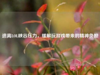逃离LOL峡谷压力，缓解玩游戏带来的精神负担