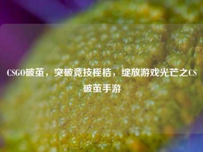 CSGO破茧，突破竞技桎梏，绽放游戏光芒之CS破茧手游