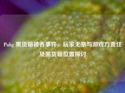 Pubg 黑货箱被吞事件，玩家无奈与游戏方责任及黑货箱位置探讨