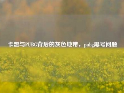 卡盟与PUBG背后的灰色地带，pubg黑号问题