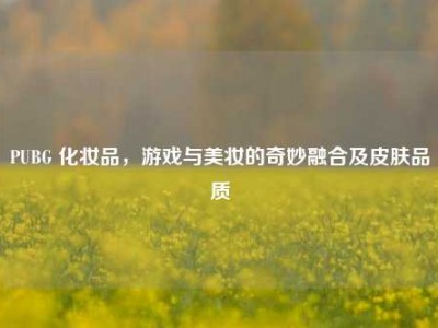 PUBG 化妆品，游戏与美妆的奇妙融合及皮肤品质