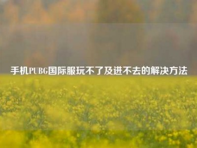 手机PUBG国际服玩不了及进不去的解决方法