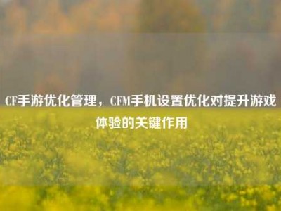 CF手游优化管理，CFM手机设置优化对提升游戏体验的关键作用