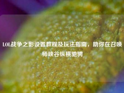LOL战争之影设置教程及玩法指南，助你在召唤师峡谷纵横驰骋