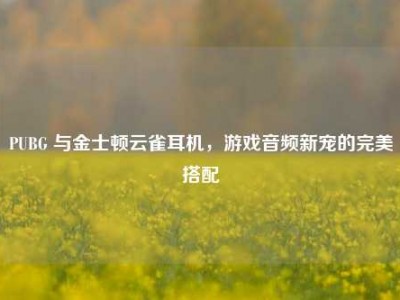 PUBG 与金士顿云雀耳机，游戏音频新宠的完美搭配