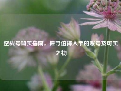 逆战号购买指南，探寻值得入手的账号及可买之物